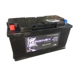 Erginex