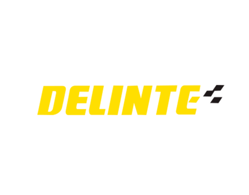 275/40R20 106 W DELINTE DS8